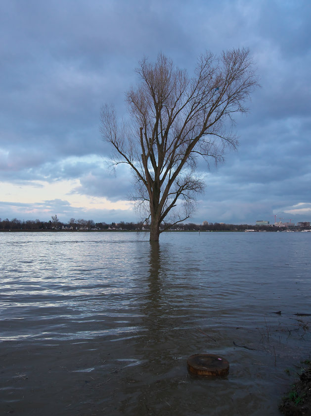 Duesseldorf loerick flut andreasjell 292