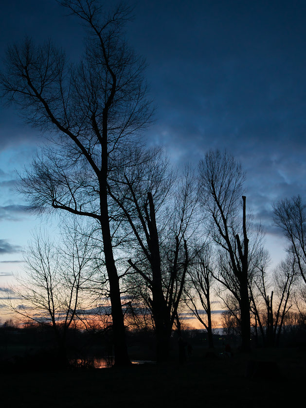 Duesseldorf loerick flut andreasjell 315