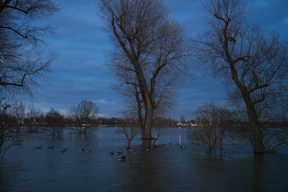 Duesseldorf loerick flut andreasjell 316