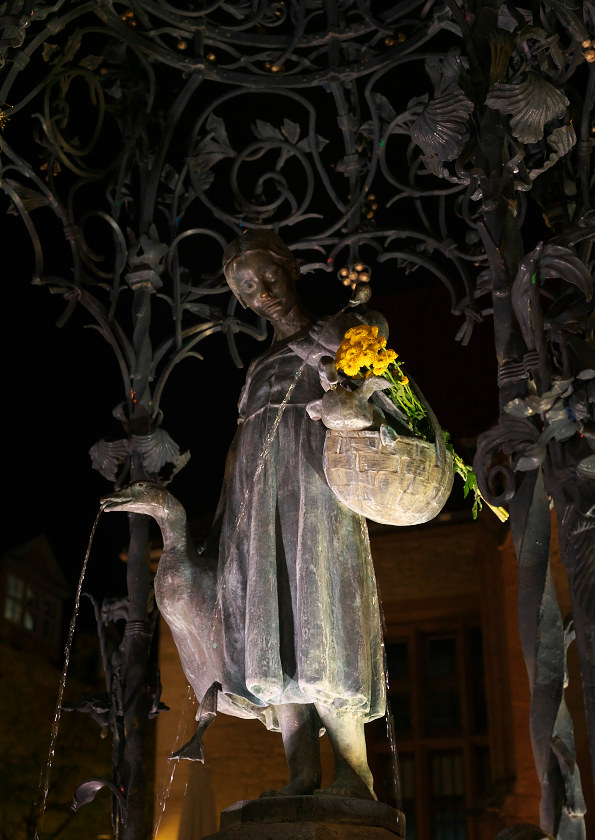 Goettingen by night 578